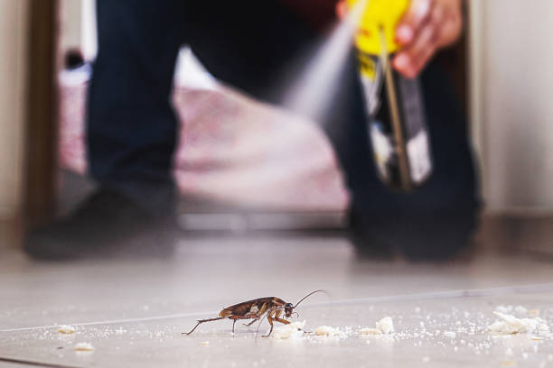 Best Pest Inspection Near Me  in Chrisman, IL